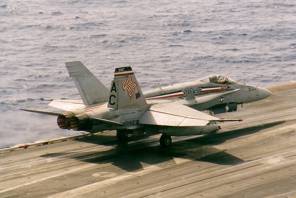 hornet-03.jpg