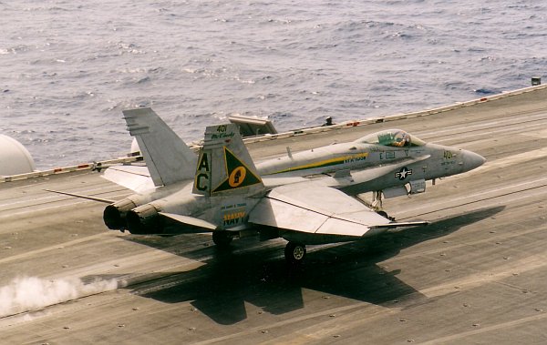 hornet-04.jpg