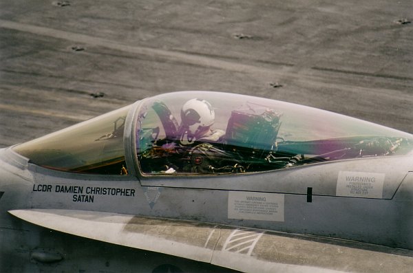 hornet-16.jpg