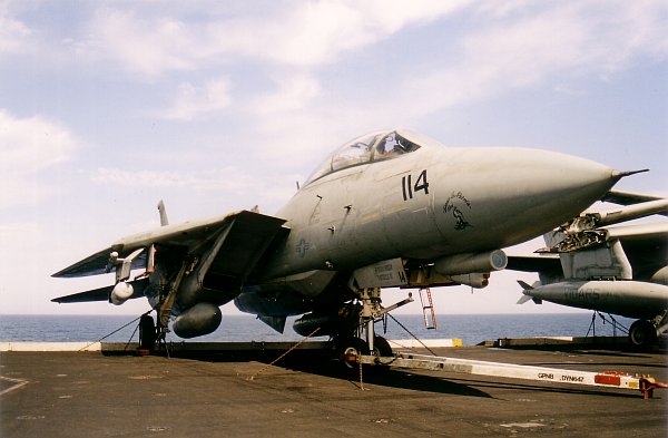 tomcat-00.jpg