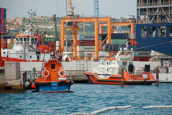 koper_0293.jpg