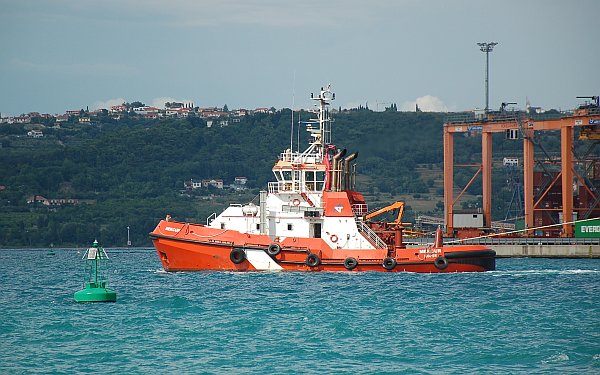 koper_0294.jpg