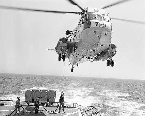 seaking-05.jpg