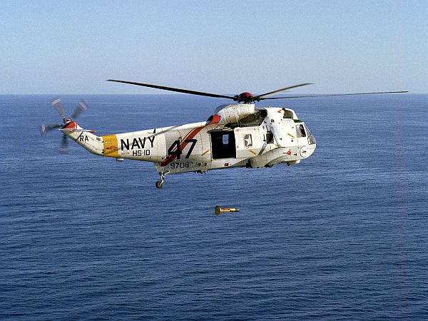 seaking-06.jpg