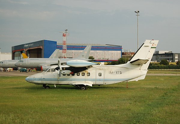yfd-01.jpg