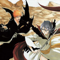 Bleach Movie 3.