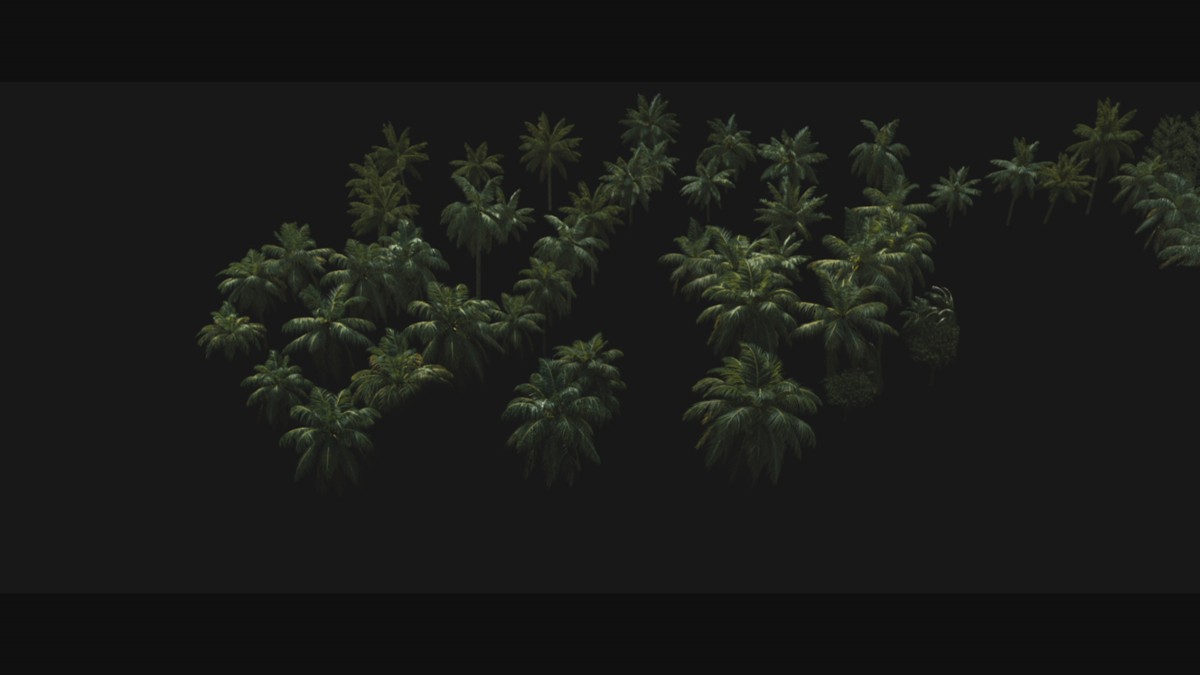 Wave_wide_palm_trees.jpg