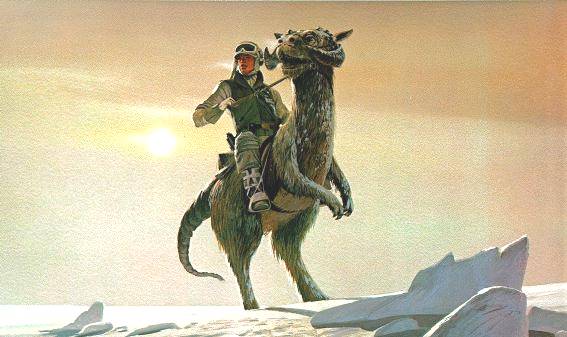 luke on taun taun (2).jpg