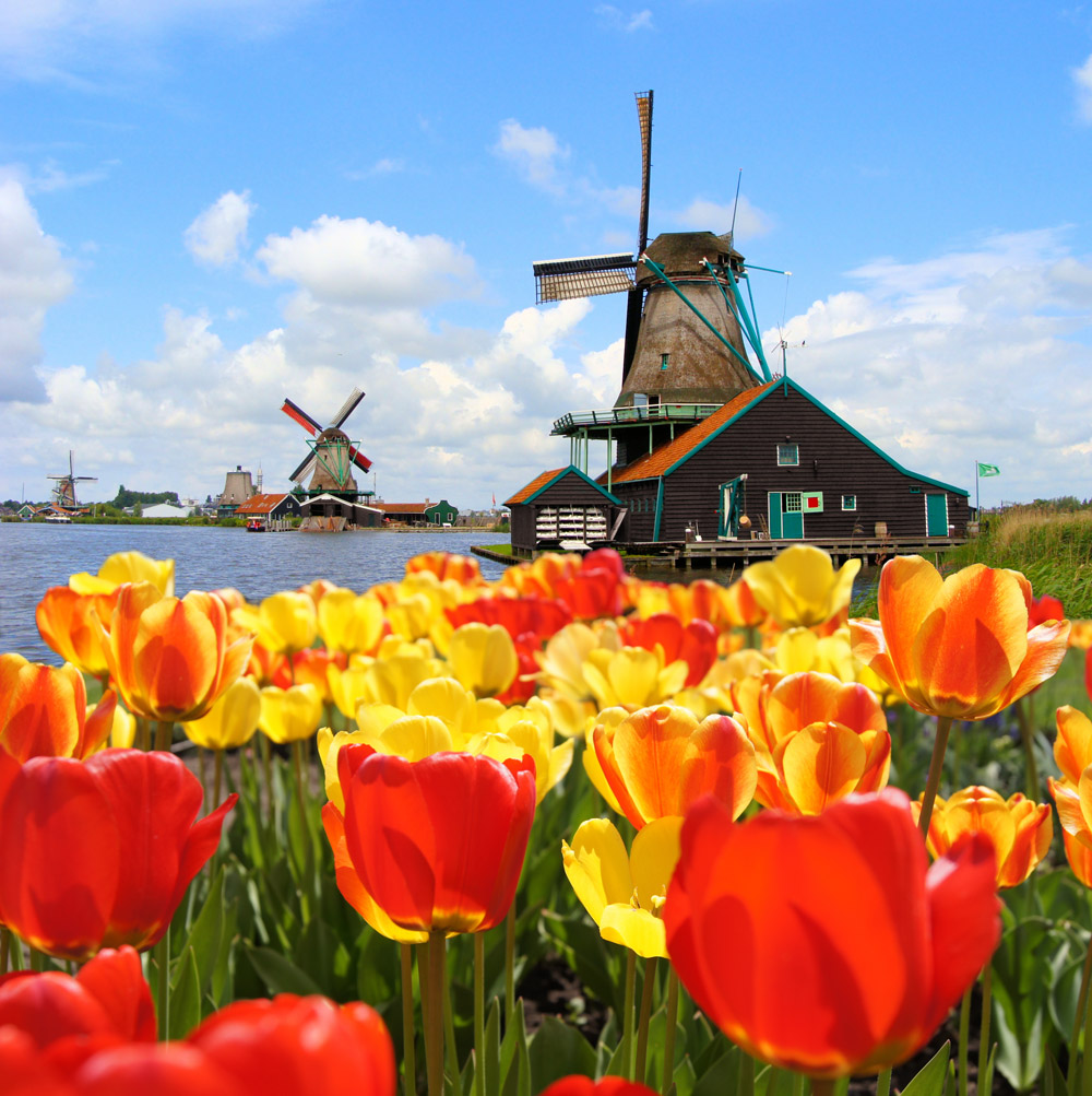 tulipanmezo-hollandia-amszterdam-varoslatogatas.jpg