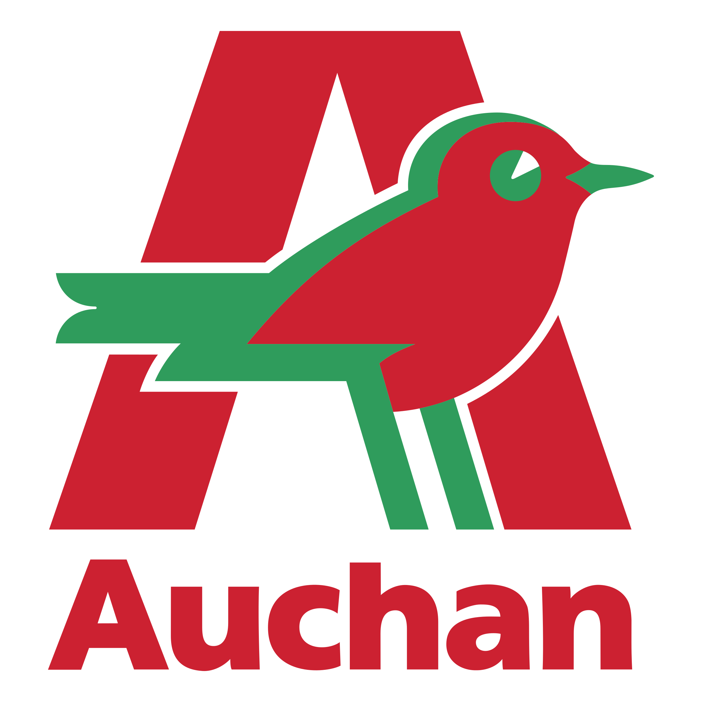 auchan.png