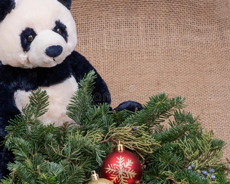 panda-christmas.jpg