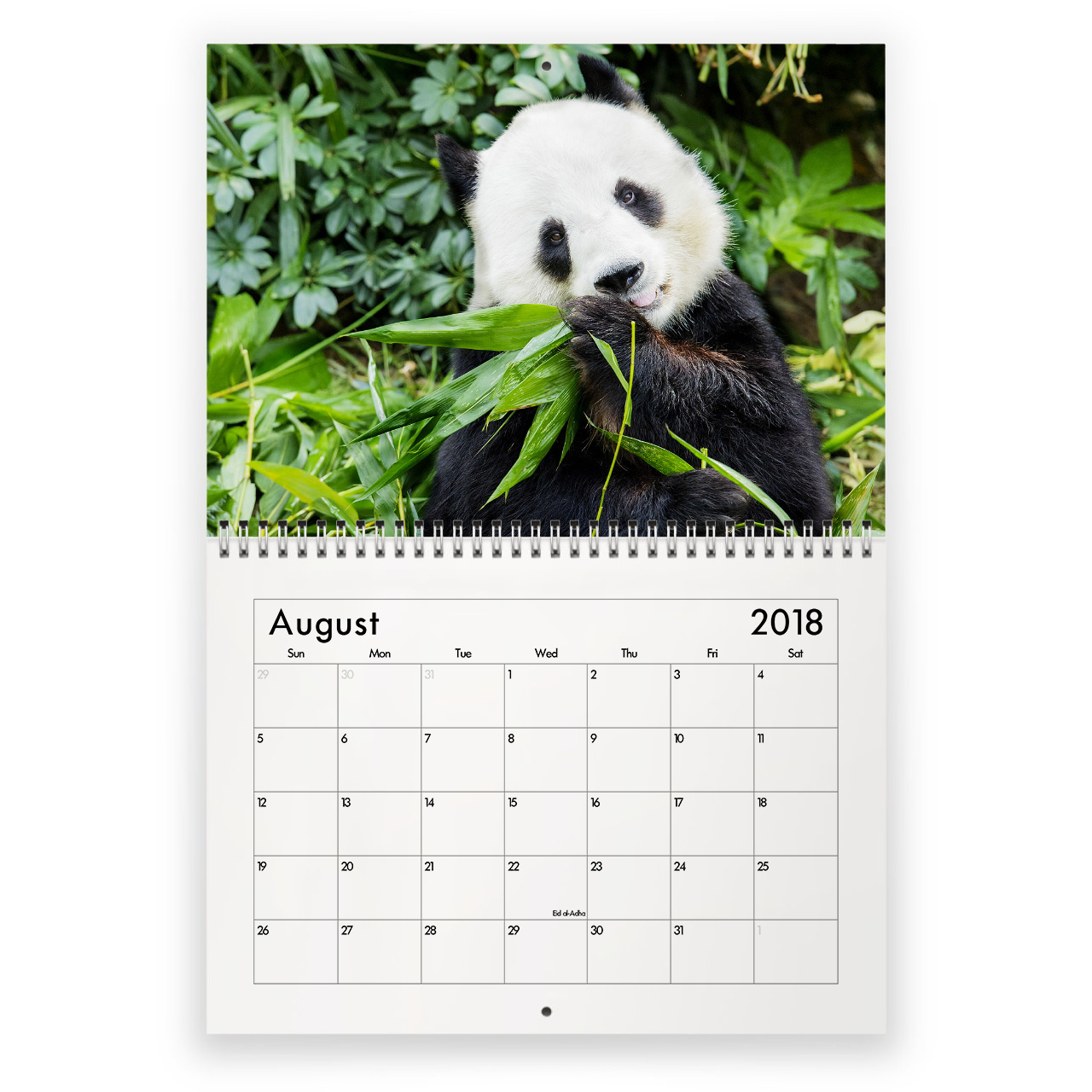 panda_2018_calendar_8.jpg