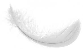 white-feather.jpg