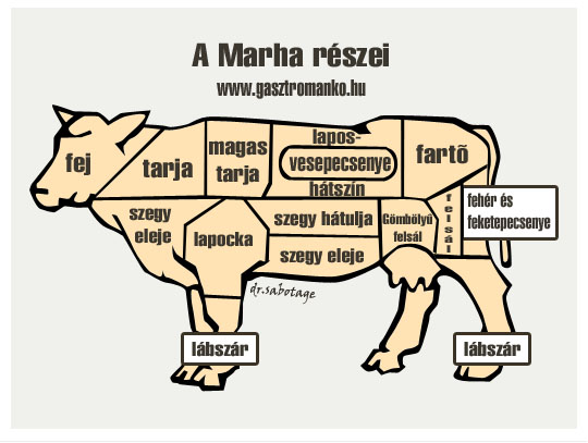 marha részei.jpg