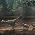Tényleg dinoszaurusz-DNS-t rejtene a megkövesedett csont?