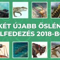 Tizenkét újabb őslénytani felfedezés 2018-ból