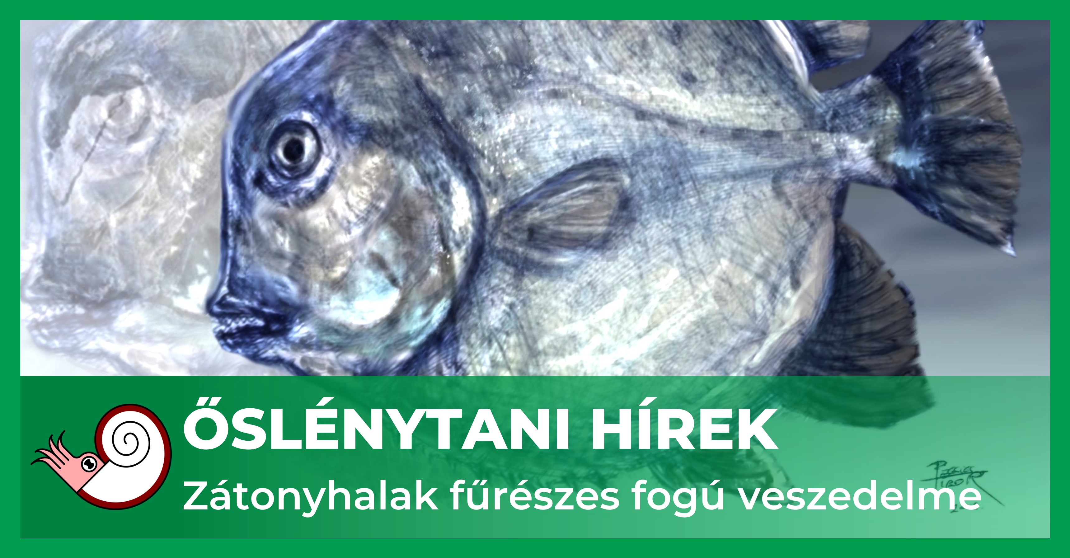 _fb_uj_a_pirajautanzo.jpg
