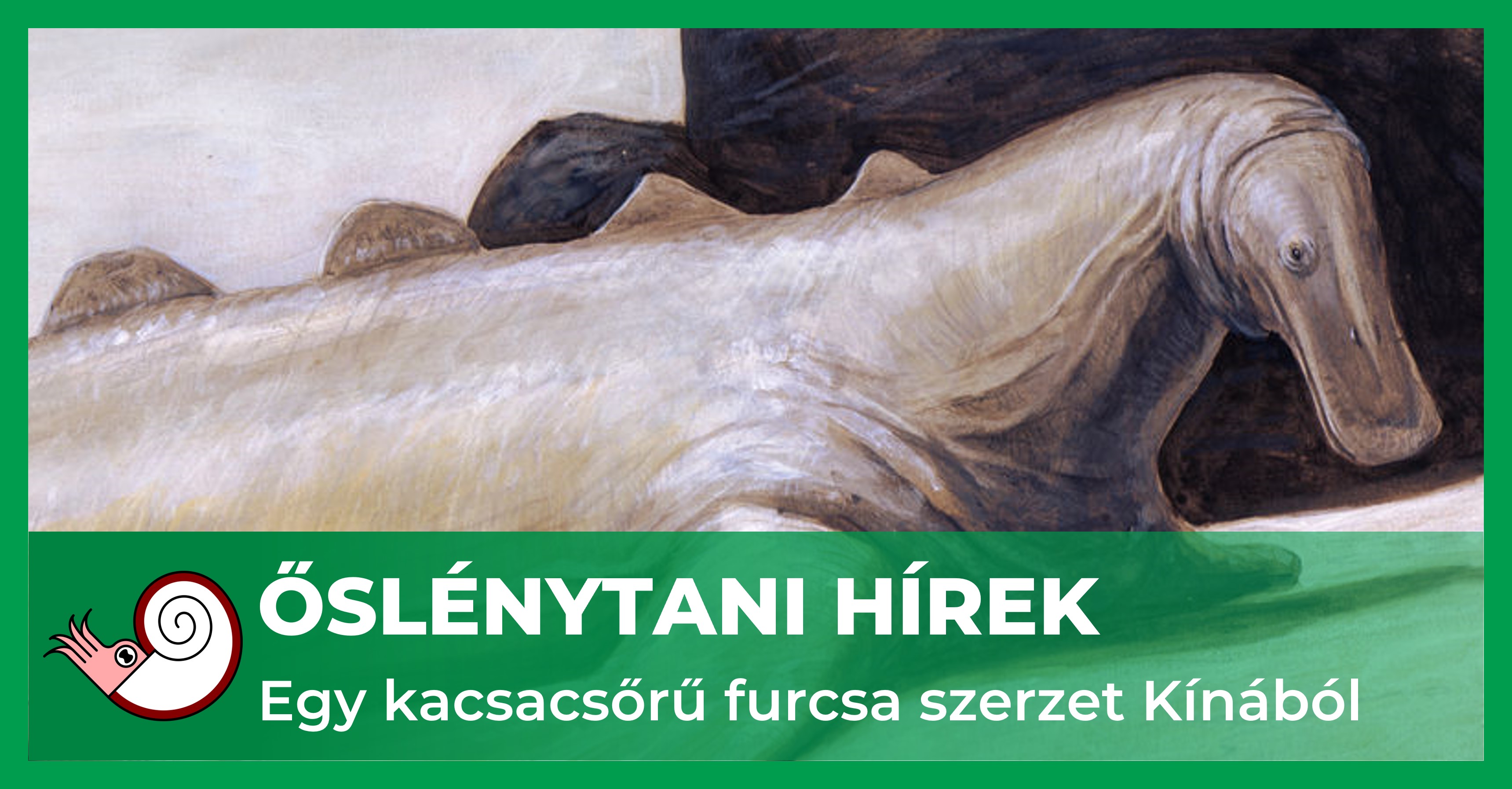 _fb_uj_eretmorhipis.jpg