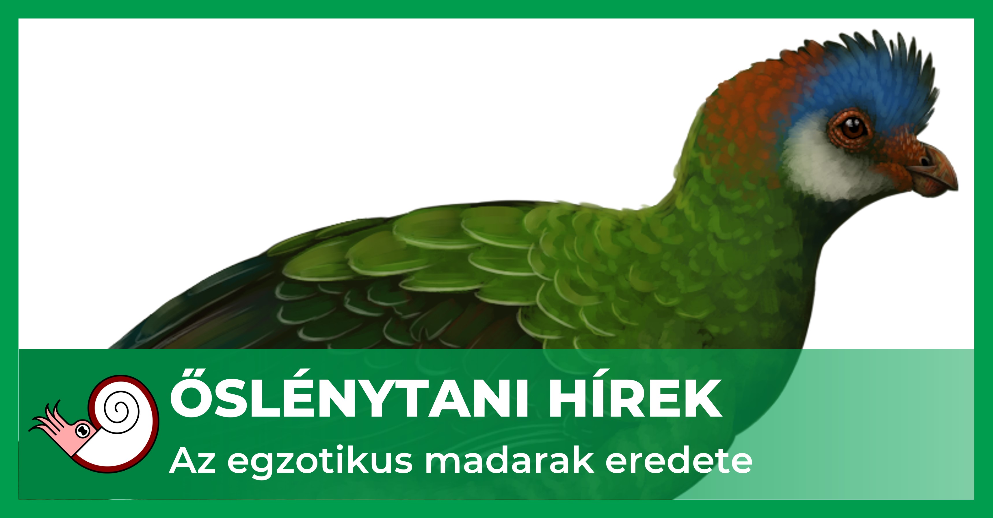 _fb_uj_eszak-amerikai_turakok.jpg