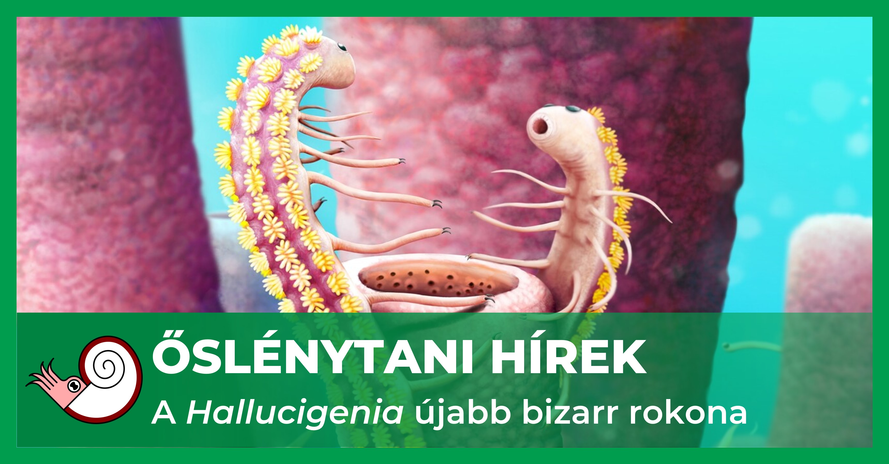 _fb_uj_hallucigenia_rokon.jpg