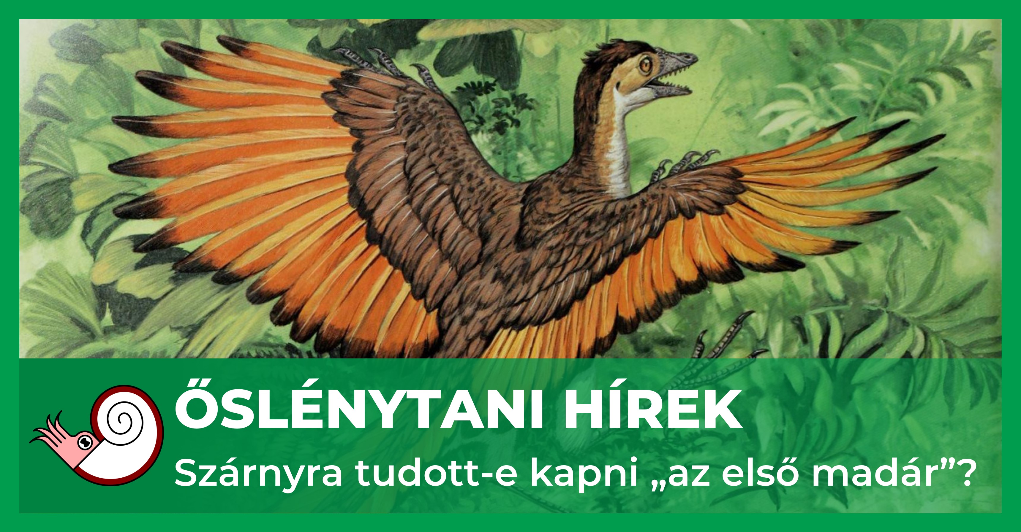 _fb_uj_jav_repulo_archaeopteryx.jpg