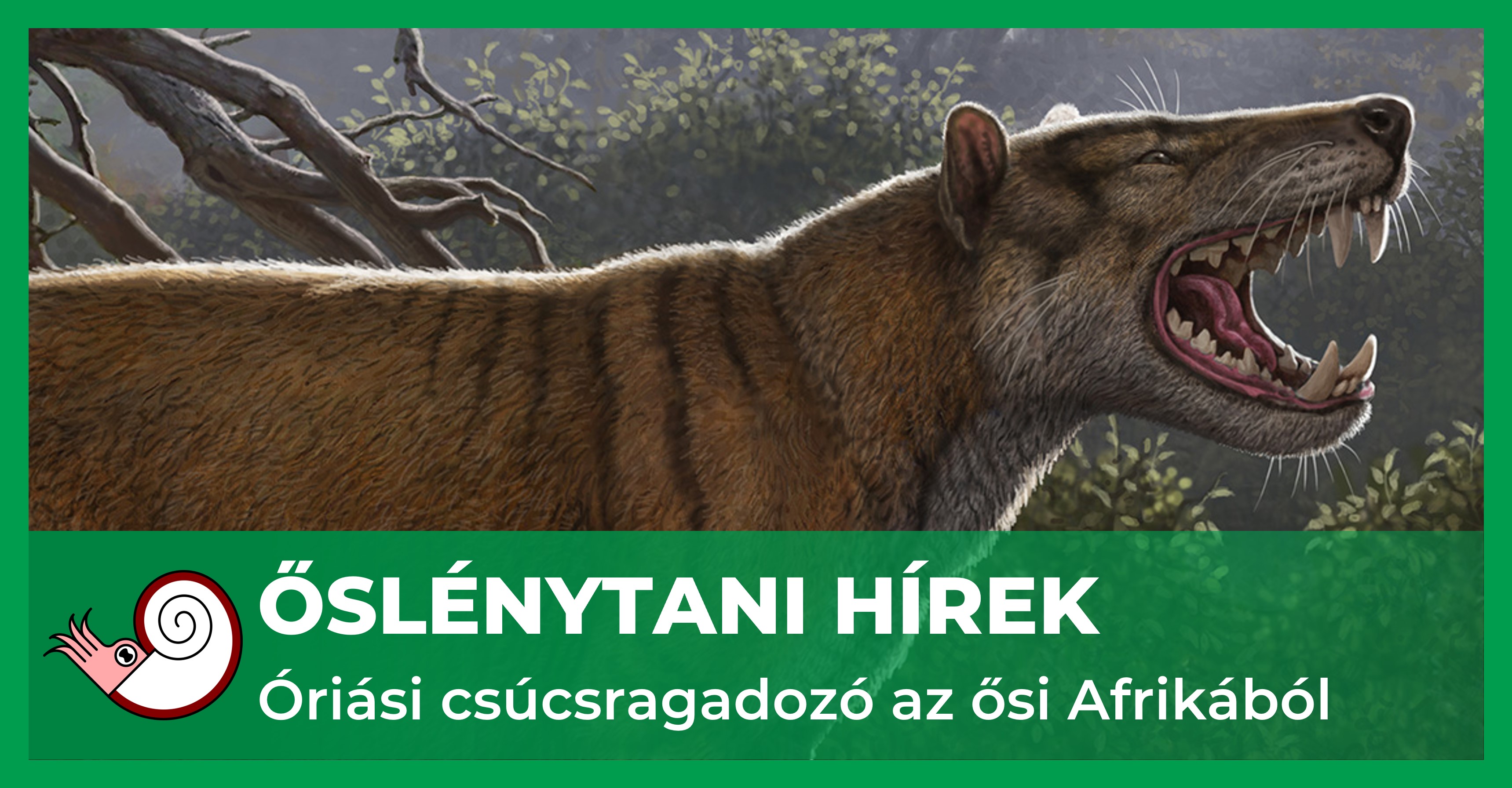 _fb_uj_simbakubwa.jpg