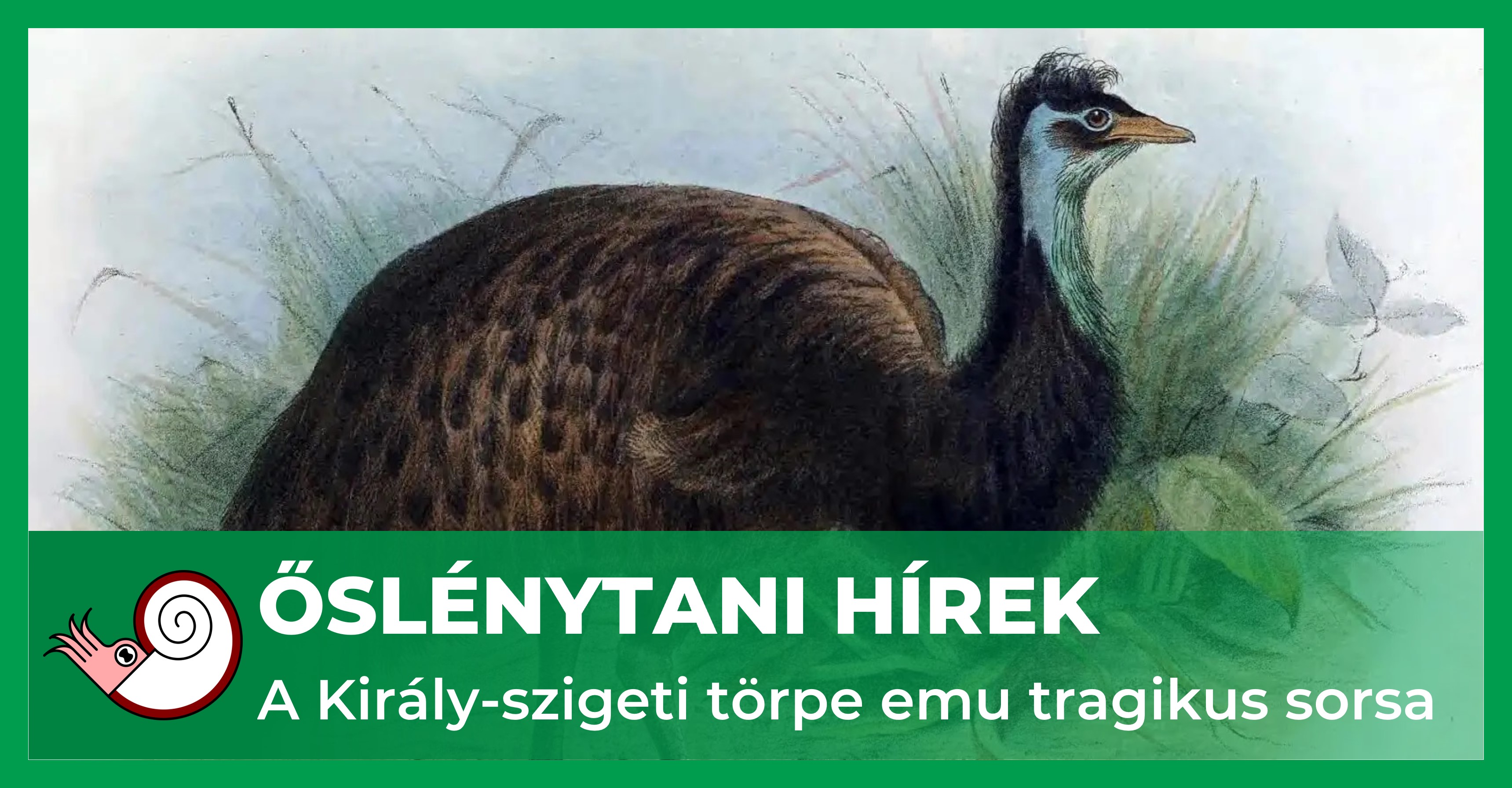 _fb_uj_torpe_emu.jpg