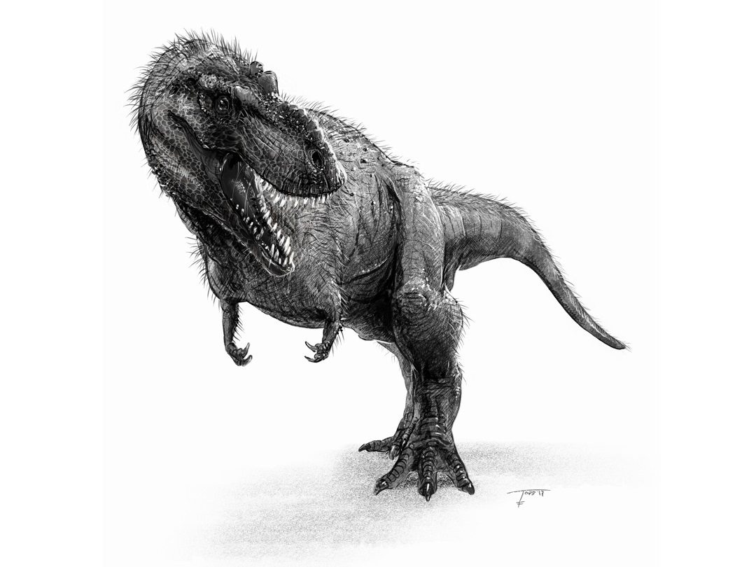 _kicsi_tyrannosaurus_rex_todd_marshall.jpg