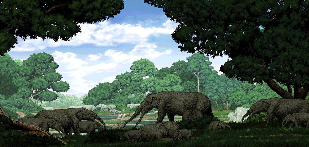 aphanobelodon_ju-csen_vang.jpeg