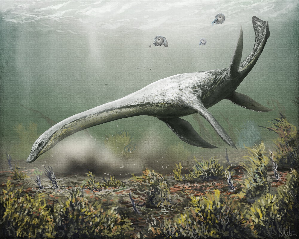 attenborosaurus_conybeari_mark_witton.jpg