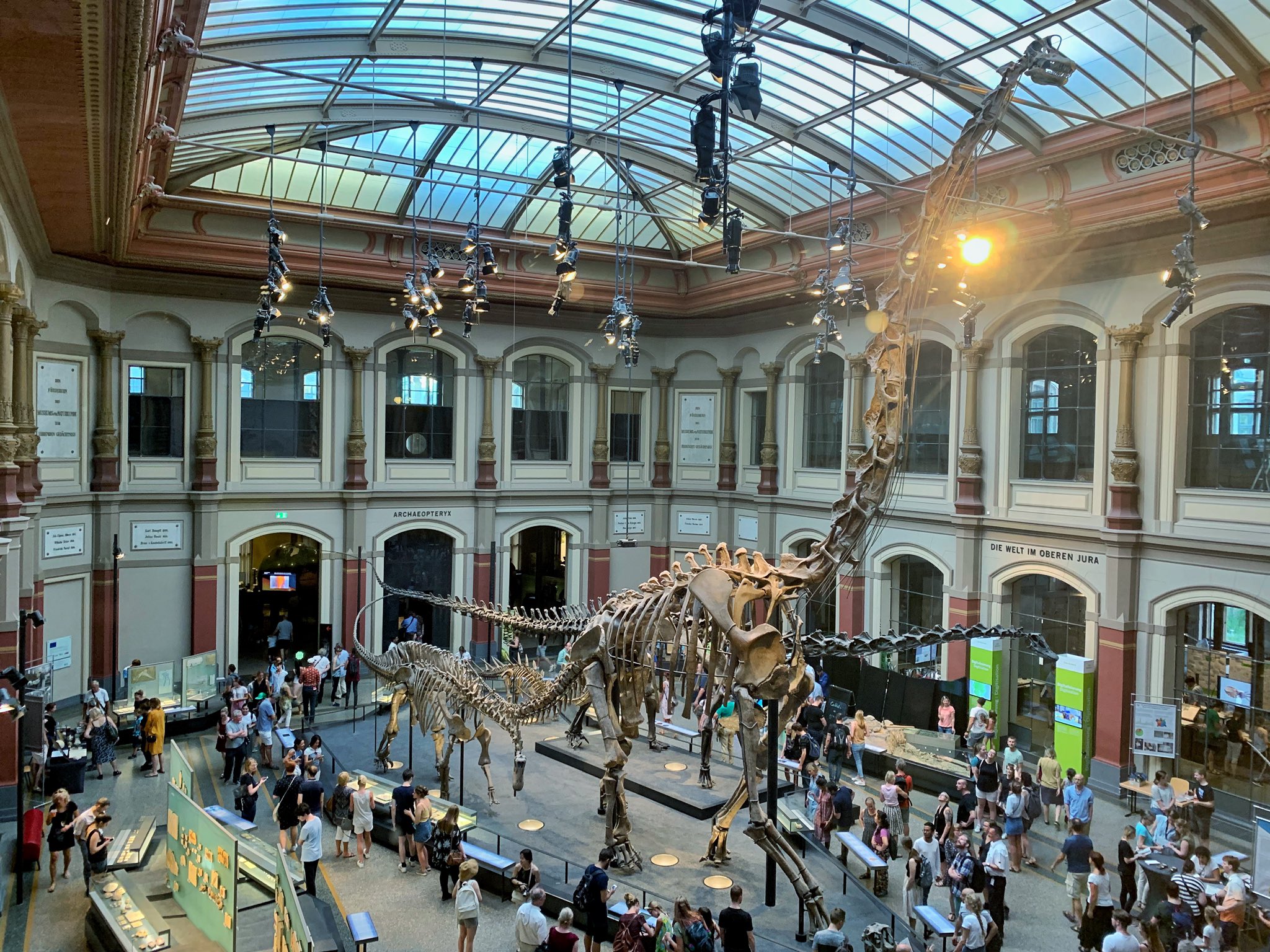 brachiosaurus_csontvaza_museum_fur_naturkunde_berlin.jpg