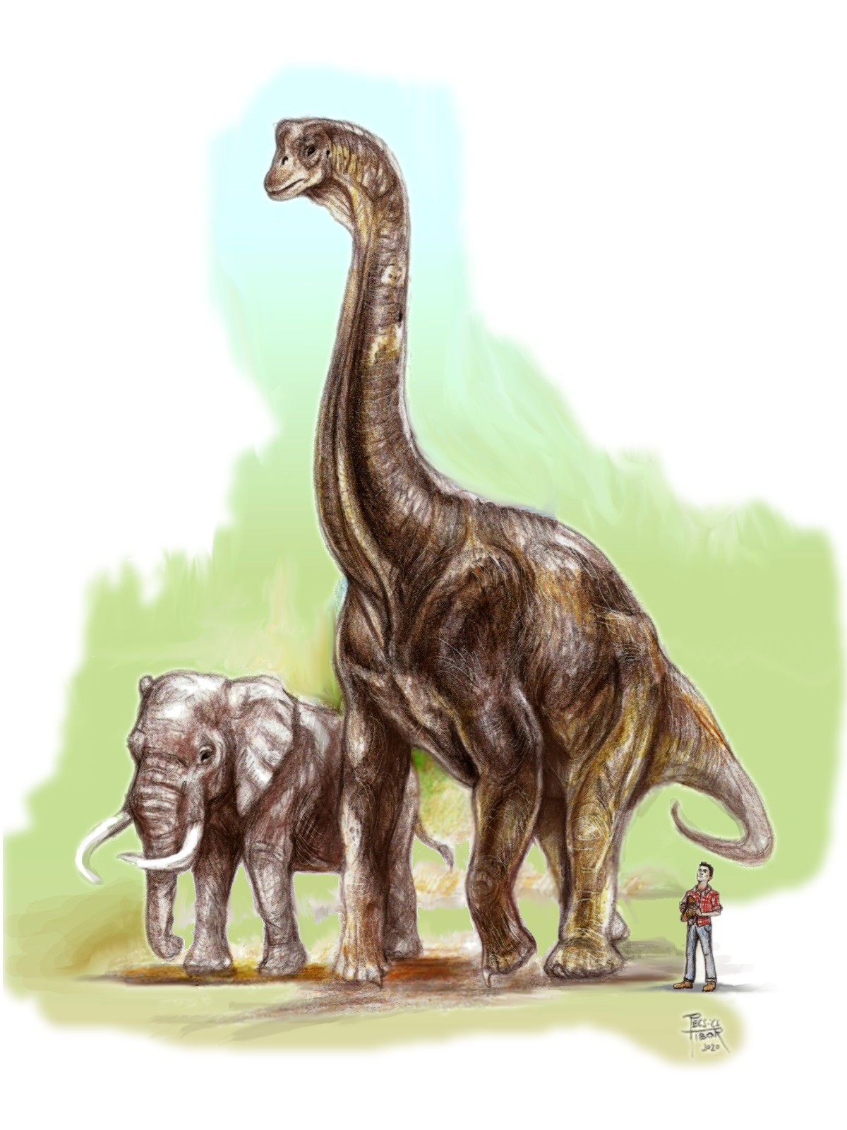 brachiosaurus_pecsics_tibor.jpg