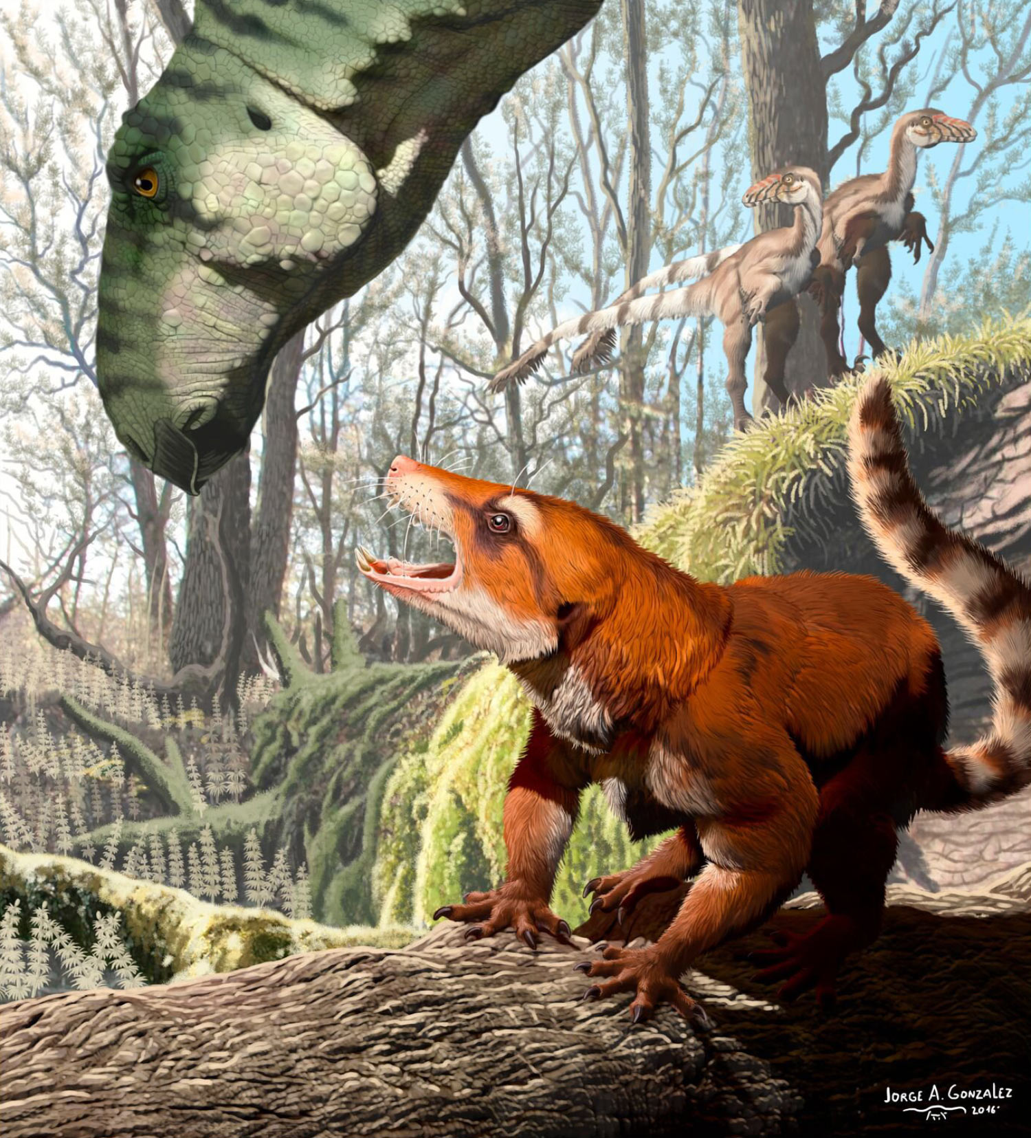 cifelliodon_wahkarmoosuch_jorge_a_gonzalez.jpg