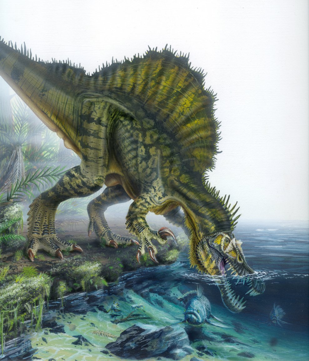 halaszo_spinosaurus_todd_marshall.jpg