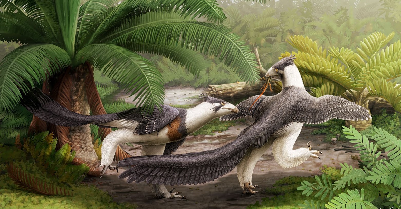 hesperornithoides_fb.jpg