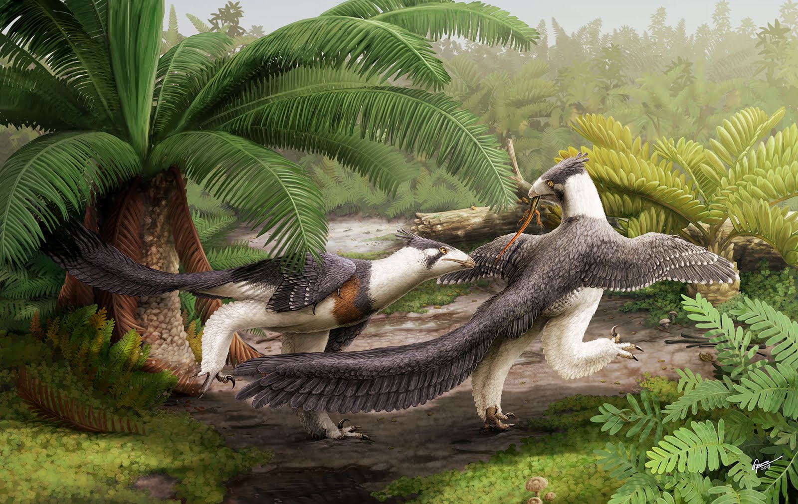 hesperornithoides_miessleri_gabriel_ugueto.jpg