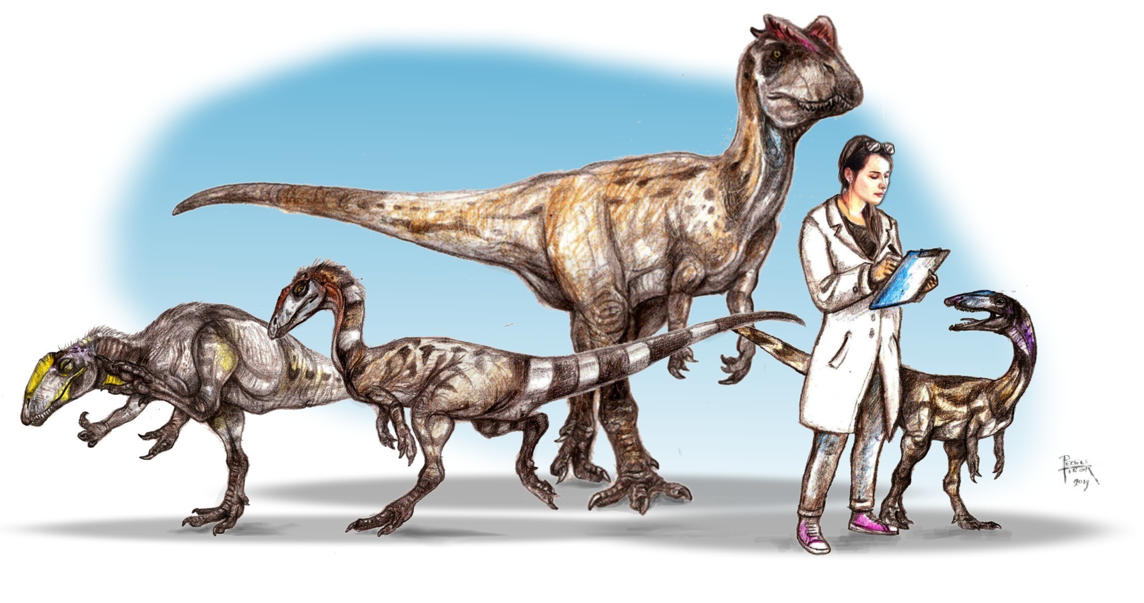 komlosaurus_es_rokonai_pecsics_tibor.jpg