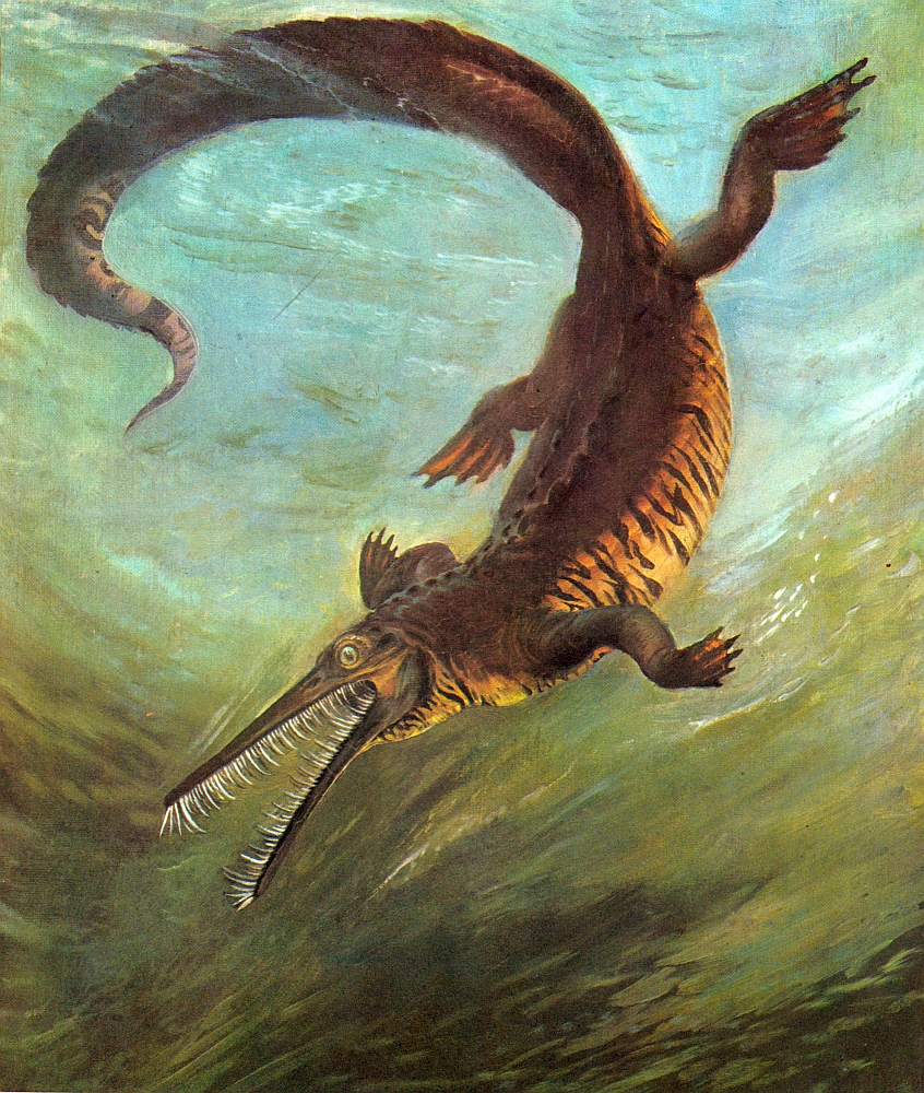 mesosaurus_zden_k_burian.jpg