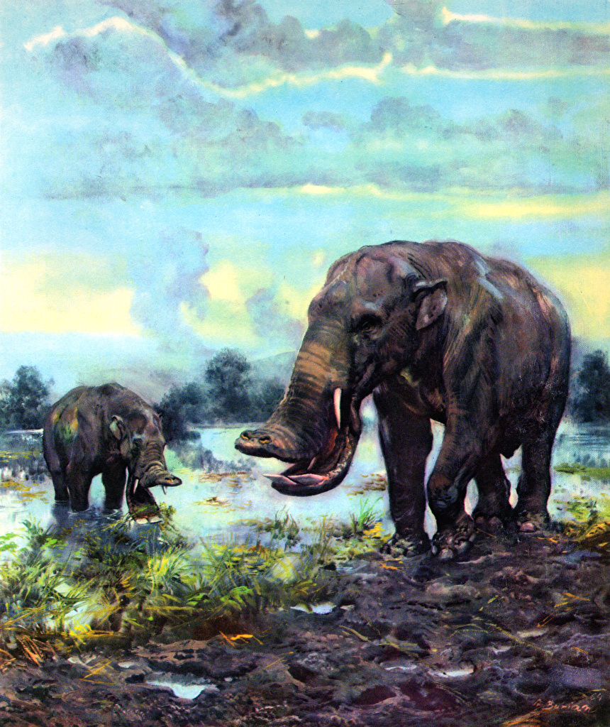 platybelodon_zden_k_burian.jpg