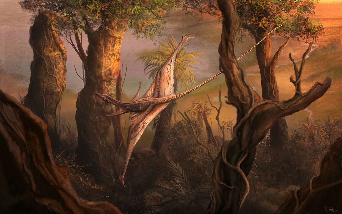 sharovipteryx_mark_witton.jpg