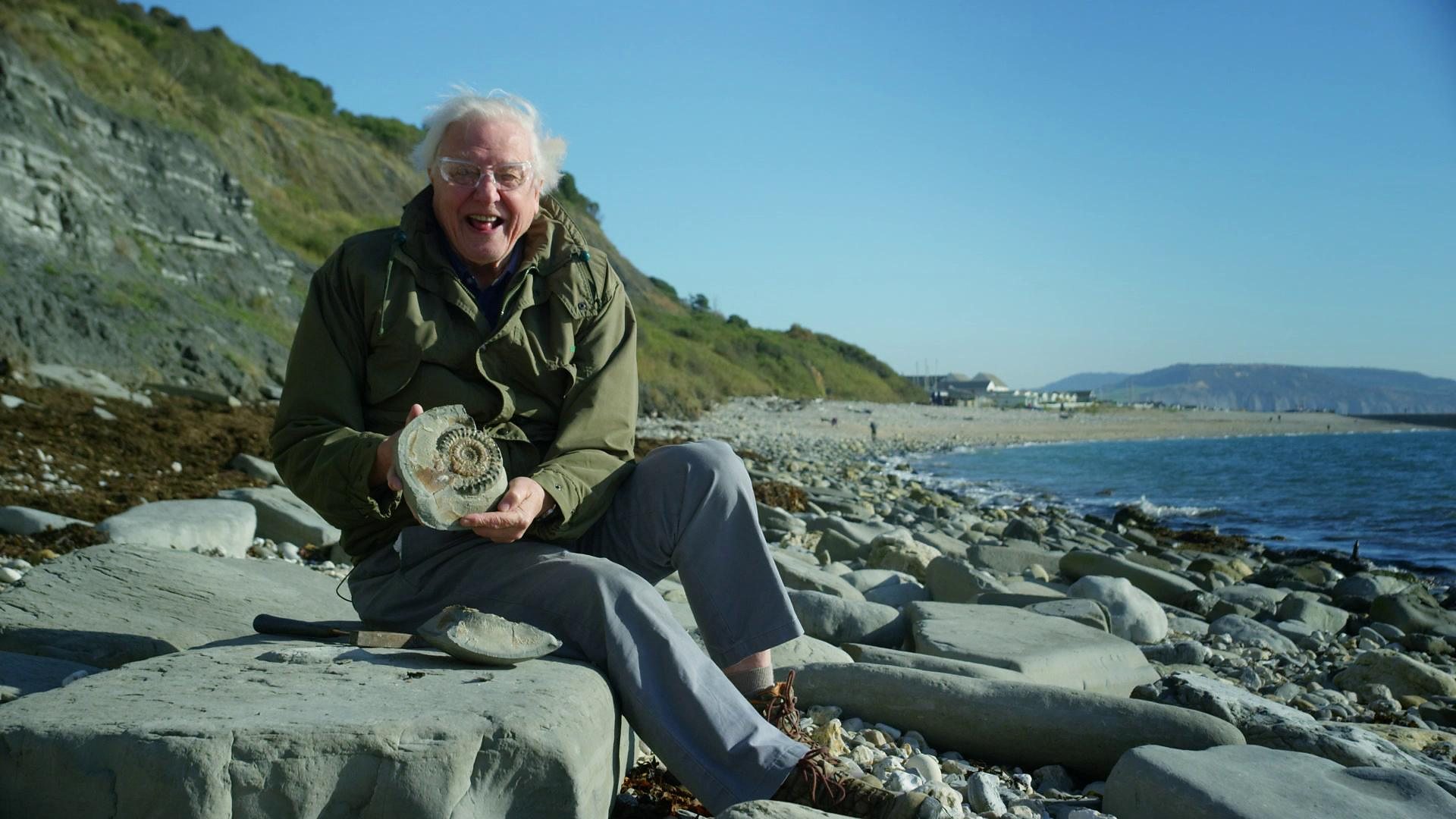 sir_david_attenborough_bbc_one.jpg