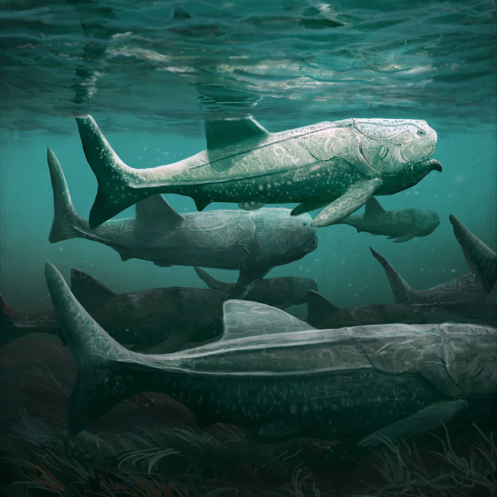 titanichthys_termieri_mark_witton.jpg