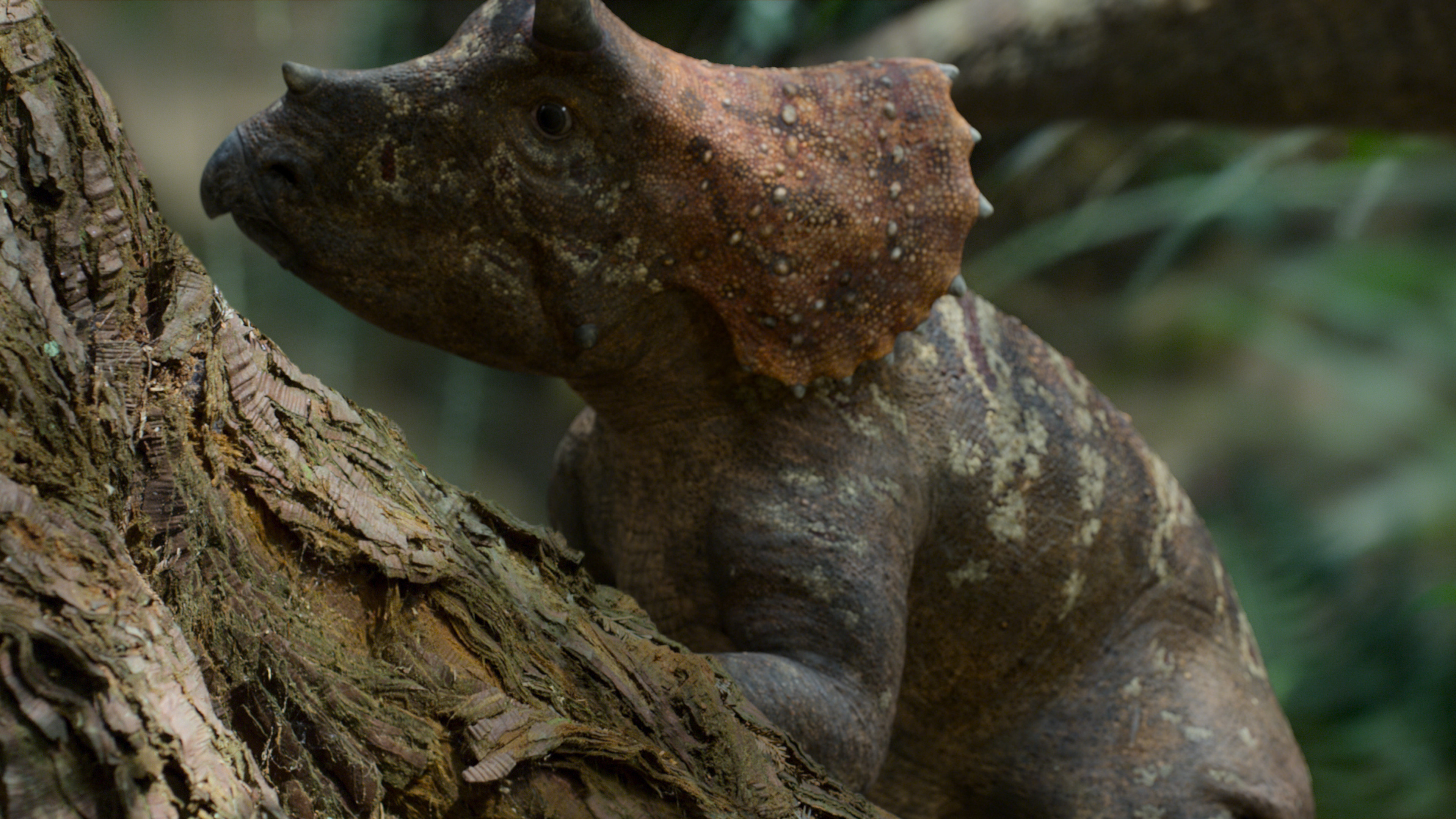 triceratops-kolyok_apple_tv.jpg