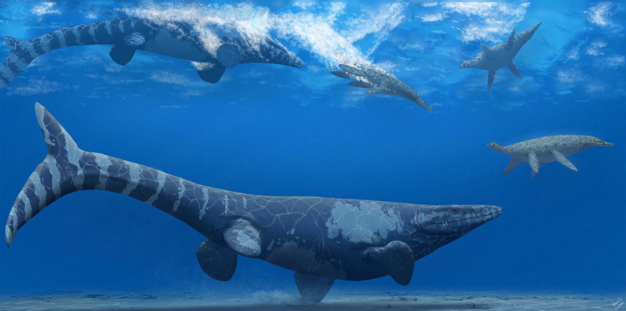 tylosaurus_pembinensis_trinacromerum_kirki_henry_sharpe.jpg