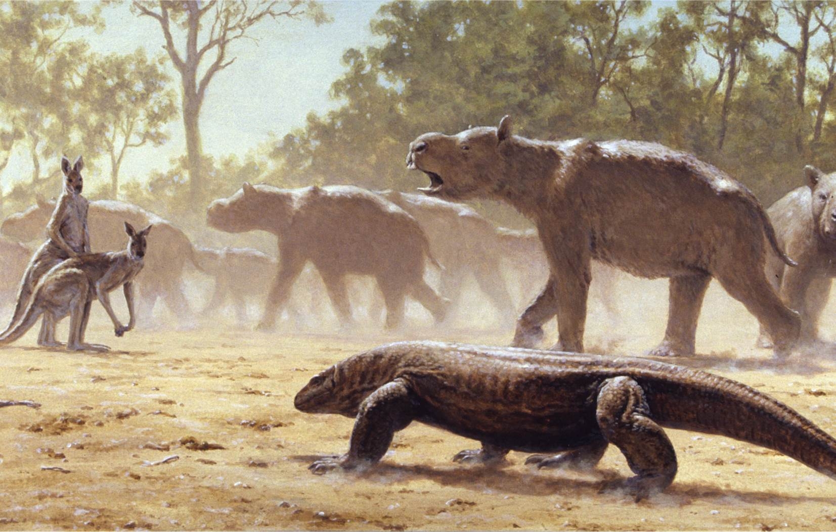 vonulo_diprotodonok_laurie_beirne.jpg