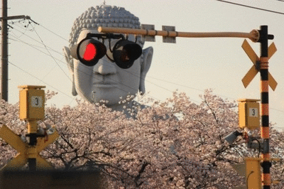 tumblr_ovm4vjmcbb1qix8rno1_400.gif