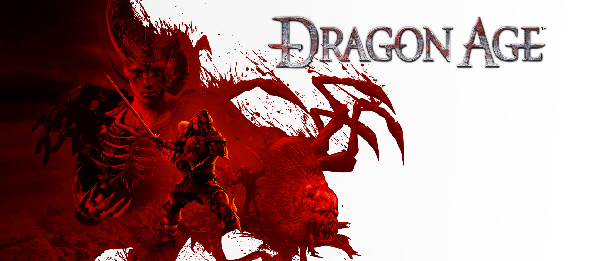 6914835-dragon-age-origins-game_1.jpg