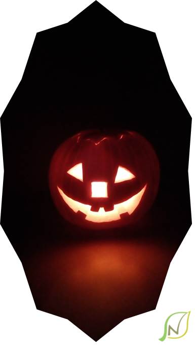 halloween_pumpkin_02.jpg