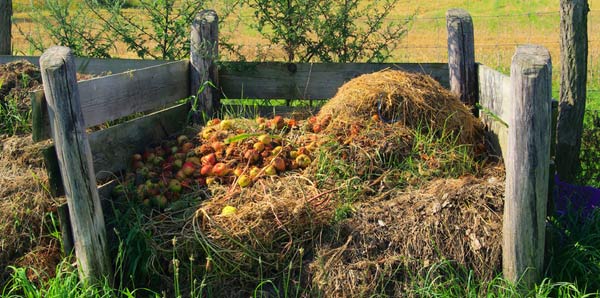 compost_pile.jpg