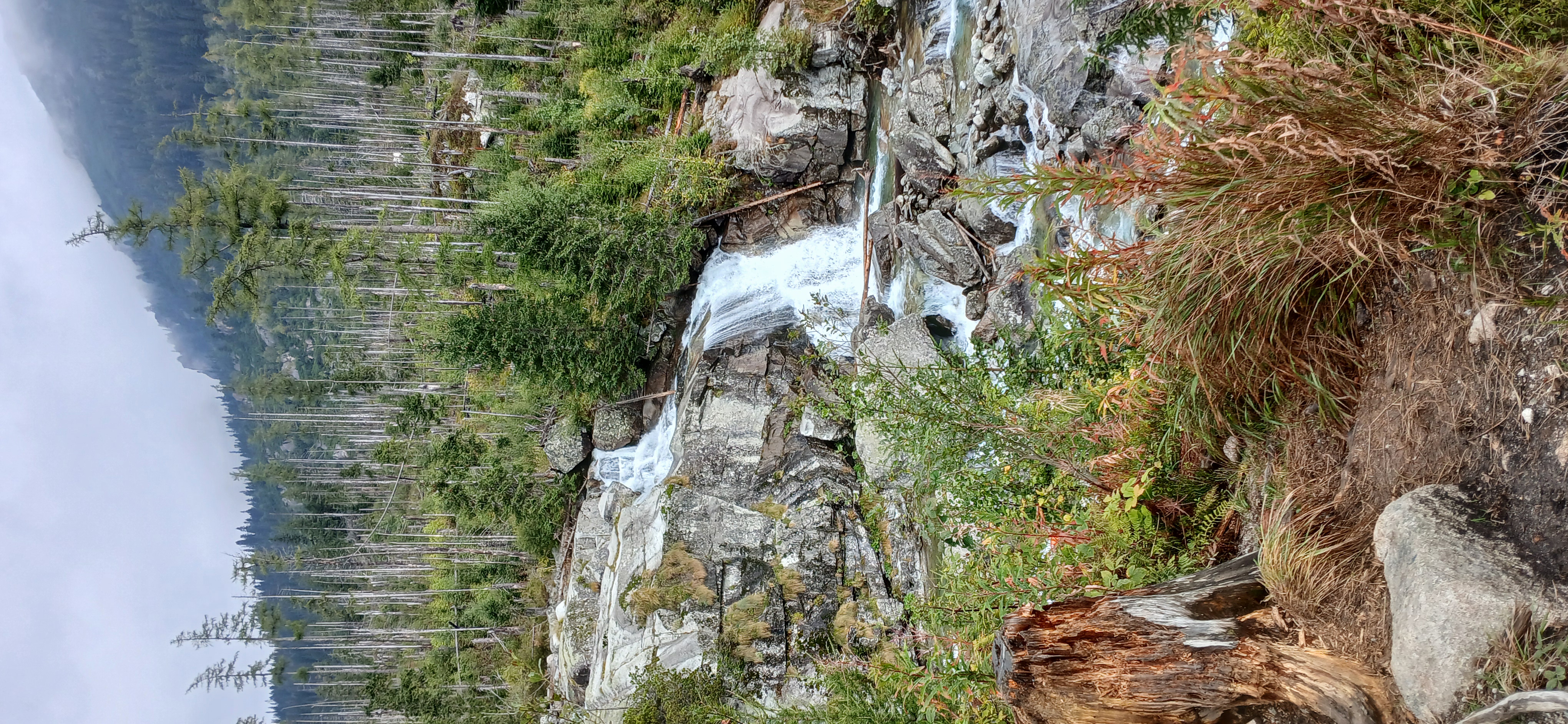 20240911_101922.jpg